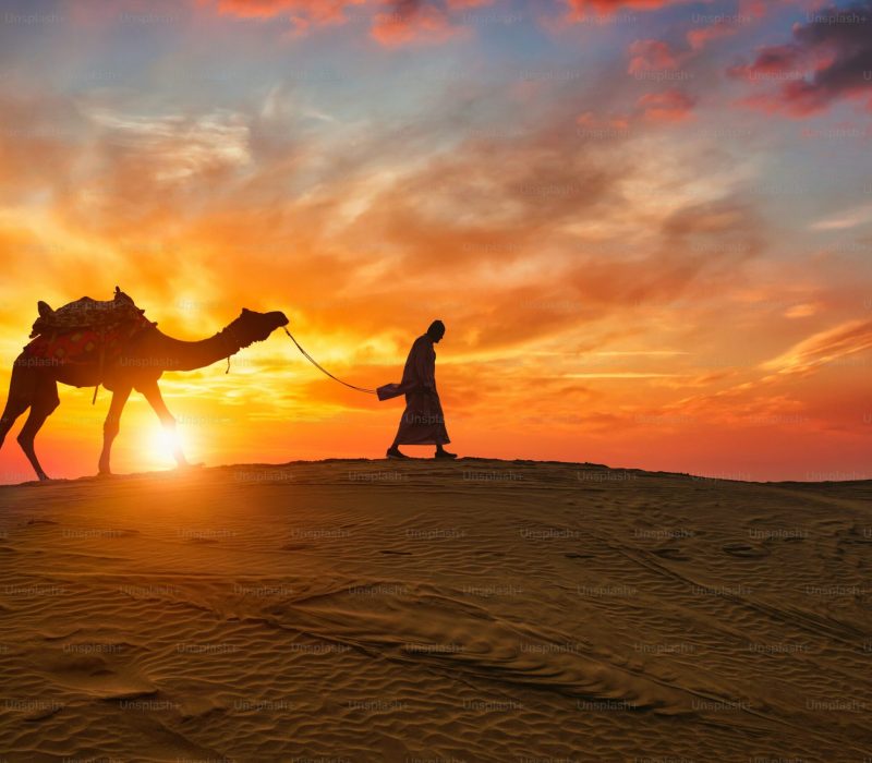 premium_photo-1661962428918-6a57ab674e23